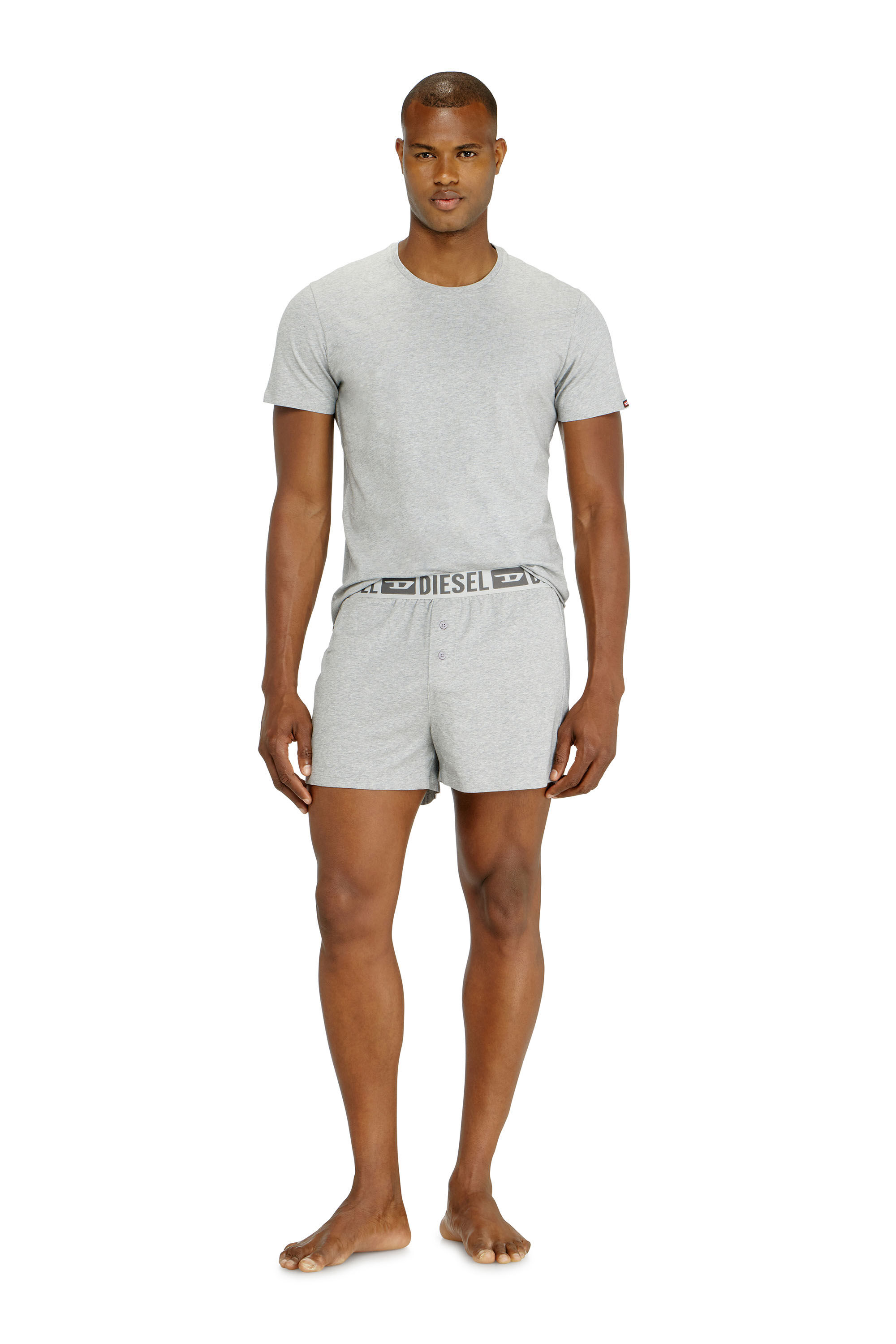 Diesel - STARKIE-D-CORE-2PACK, Man's Two-pack boxer shorts in stretch cotton in Grey - 1