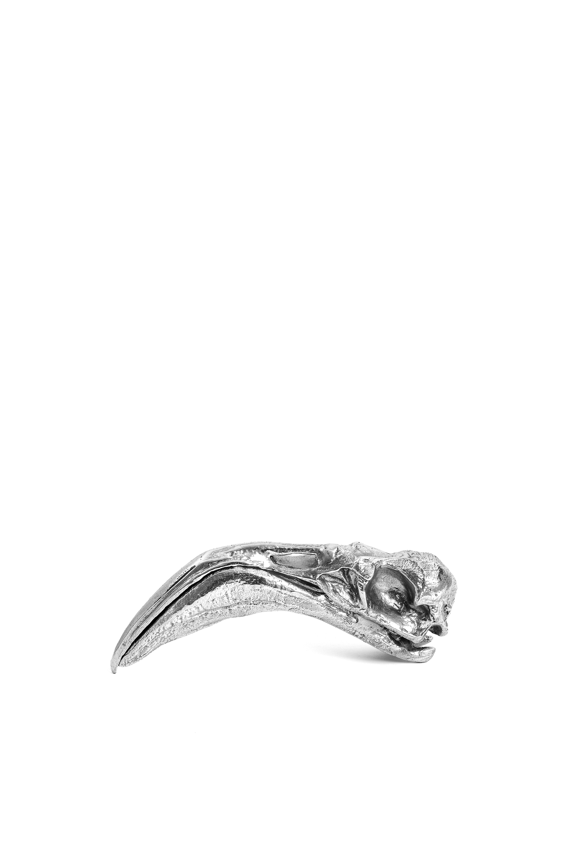 Diesel - 10898 WUNDERKAMMER, Unisex's Wunderkammer "Flamingo Skull" in Silver - 1