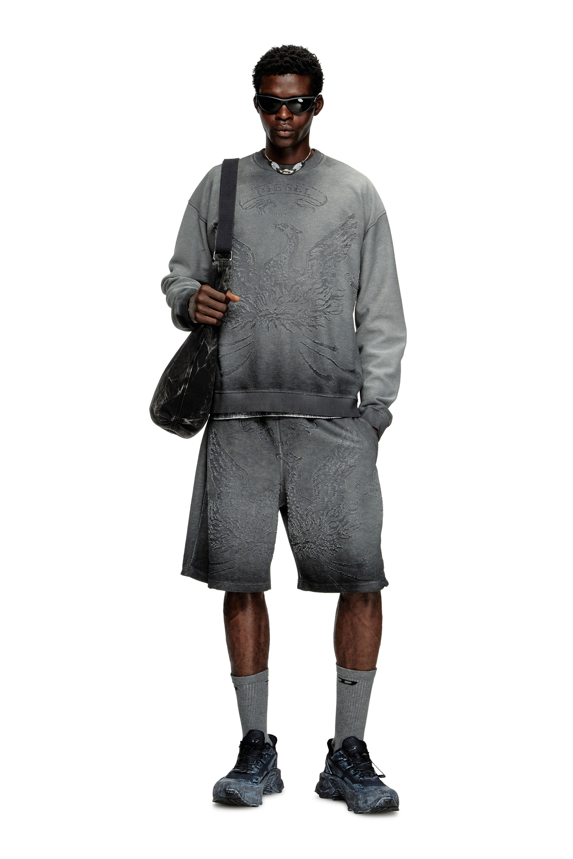 Diesel - S-ARON, Man's Faded sweatshirt with devoré Phoenix logo in Grey - 1